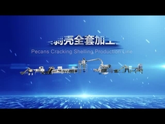 Nozes-pecã inteligentes que racham-se descascando a linha de produção