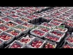 Máquina de classificação de Apple