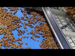 Máquina de datas 0312